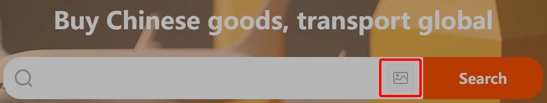 Official home search bar with a camera icon boxed in red beside the orange Search button, under a headline reading Buy Chinese goods, transport global.